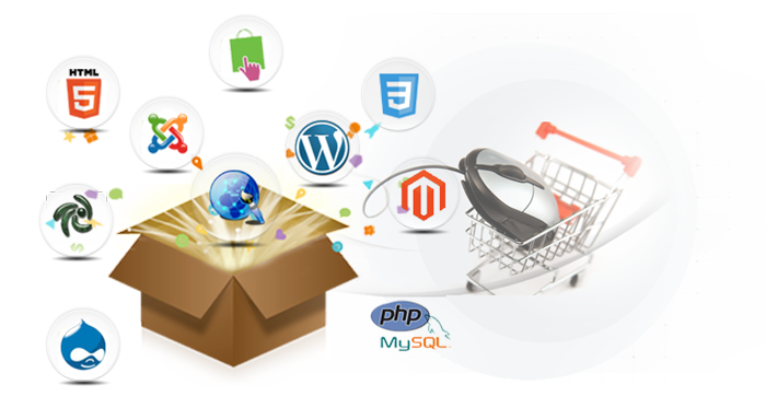 Custom E-commerce Website Development 1 Custom E-Commerce Website Development in Moradabad